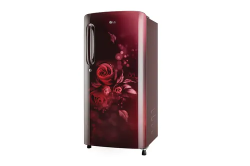 LG GLD205AS Single Door Refrigerator 204L Direct Cool Smart Inverter Silver